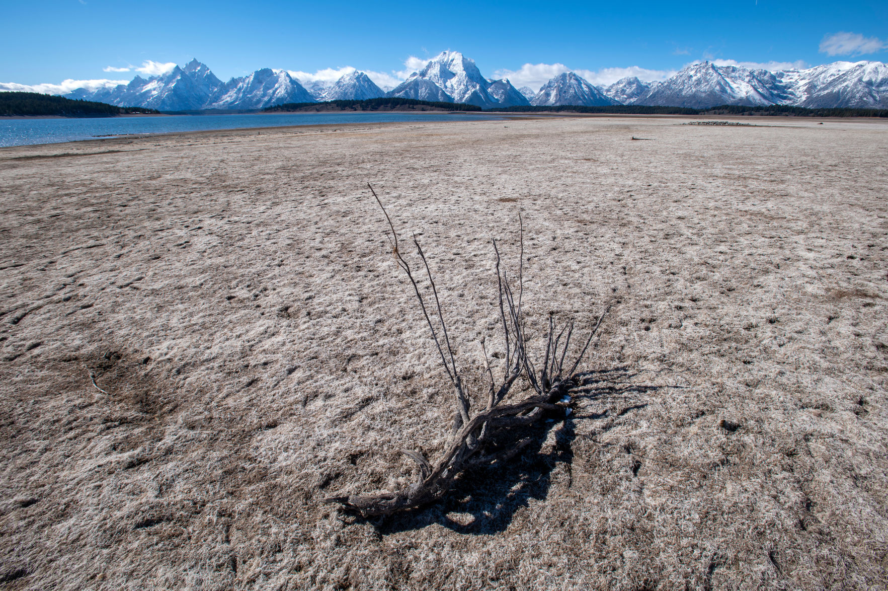 Jackson Lake